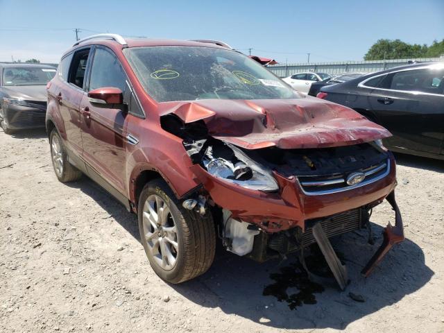 FORD ESCAPE TIT 2014 with VIN 1FMCU0J95EUB06079 - Photo from auction
