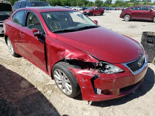 LEXUS IS 250 2009 with VIN JTHCK262195034510 - Photo from auction