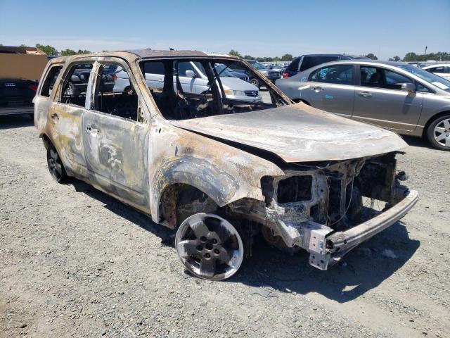 FORD ESCAPE XLT 2008 with VIN 1FMCU03Z08KD98656 - Photo from auction