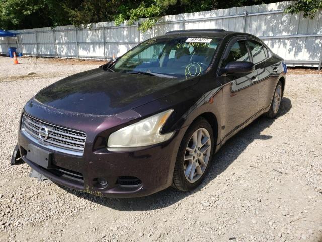 Photo 2 from auction – 2011 NISSAN MAXIMA with VIN 1N4AA5AP4BC845080