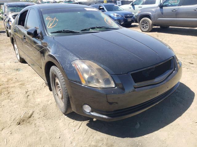 NISSAN MAXIMA SE 2006 with VIN 1N4BA41E86C802526 - Photo from auction