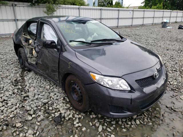TOYOTA COROLLA BA 2010 with VIN 2T1BU4EE4AC304271 - Photo from auction