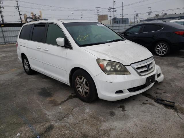HONDA ODYSSEY EX 2007 with VIN 5FNRL38677B433352 - Photo from auction
