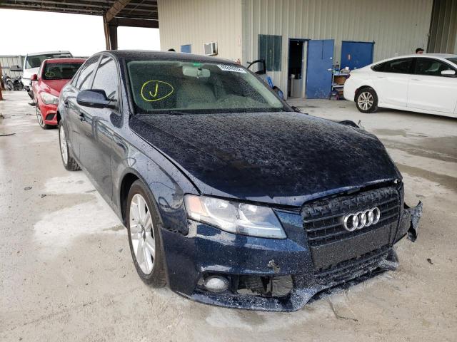 AUDI A4 PREMIUM 2010 with VIN WAUAFAFL7AN058800 - Photo from auction