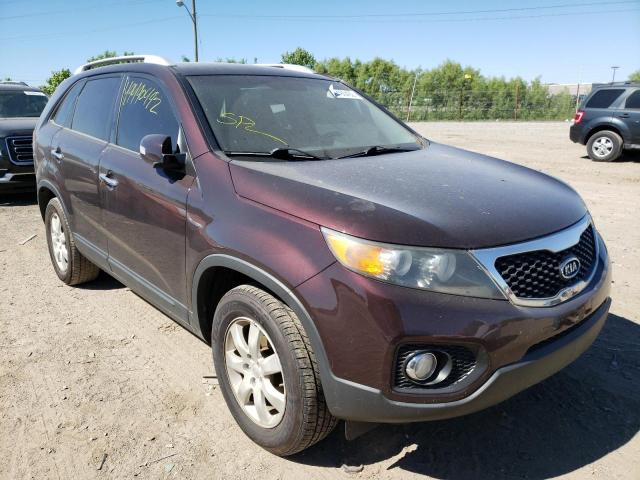 KIA SORENTO BA 2011 with VIN 5XYKT4A10BG101129 - Photo from auction