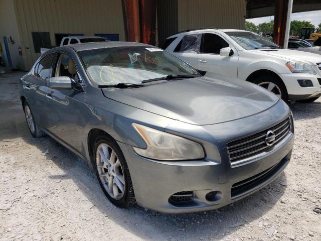 NISSAN MAXIMA S 2010 с VIN 1N4AA5AP2AC826249 - Фото с аукциона