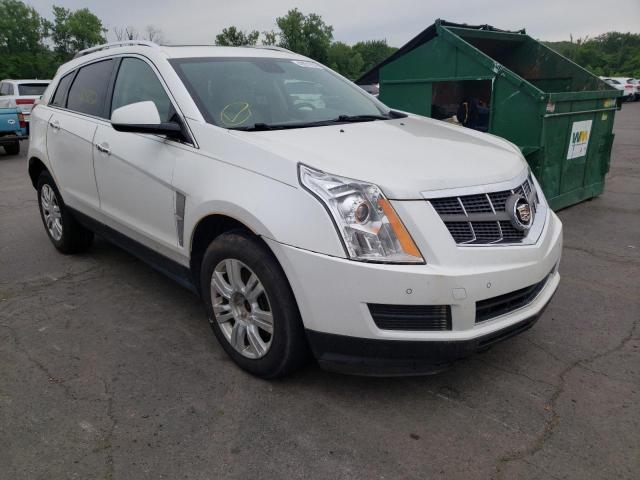 CADILLAC SRX LUXURY 2012 with VIN 3GYFNDE32CS543928 - Photo from auction