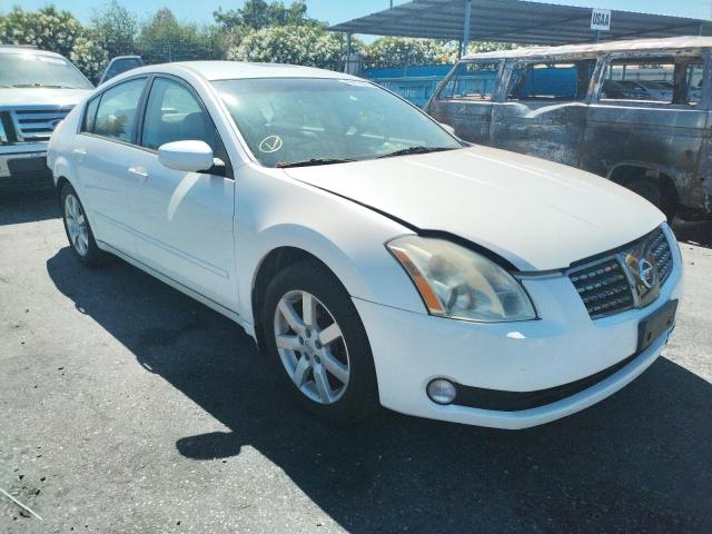 NISSAN MAXIMA SE 2004 with VIN 1N4BA41E84C909279 - Photo from auction
