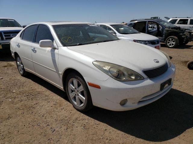 LEXUS ES 330 2005 with VIN JTHBA30G255137261 - Photo from auction