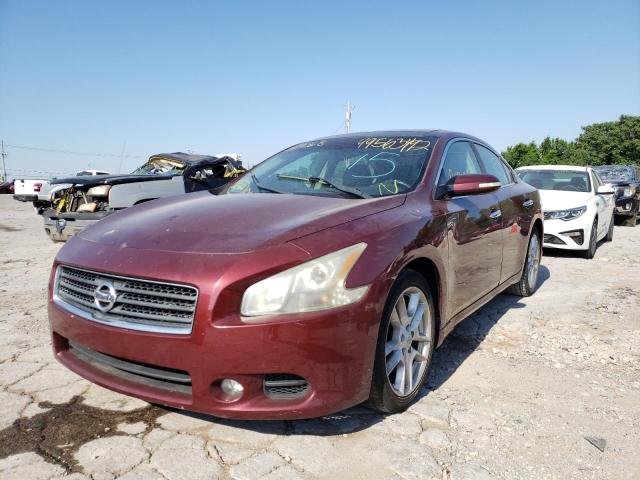 Photo 2 from auction – 2011 NISSAN MAXIMA S with VIN 1N4AA5AP3BC819568