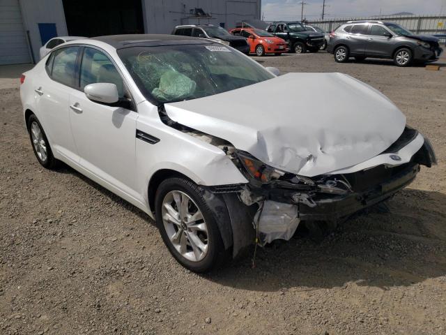 KIA OPTIMA EX 2011 with VIN KNAGN4A74B5170917 - Photo from auction