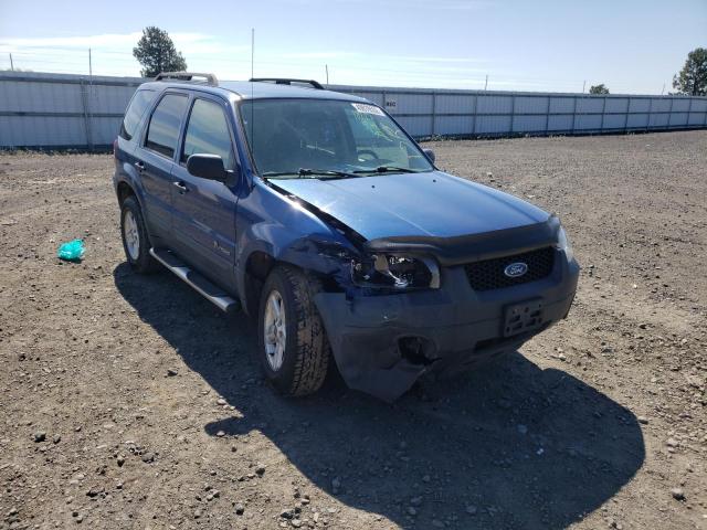 FORD ESCAPE HEV 2007 with VIN 1FMCU59H47KB27108 - Photo from auction