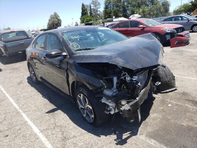 KIA FORTE FE 2019 with VIN 3KPF24AD0KE094775 - Photo from auction