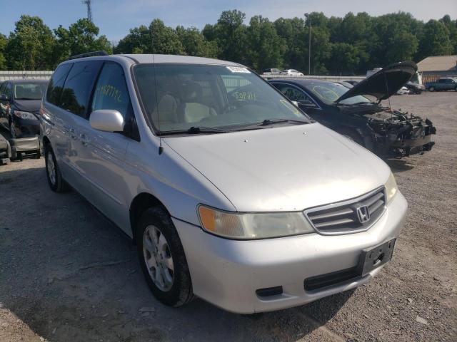 HONDA ODYSSEY EX 2004 with VIN 5FNRL18694B116432 - Photo from auction