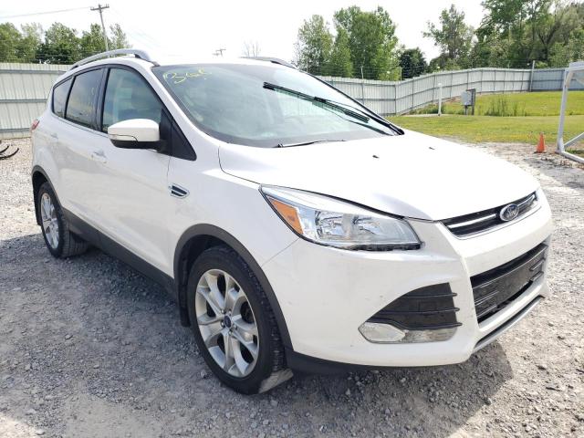 FORD ESCAPE TIT 2016 with VIN 1FMCU0J97GUB12789 - Photo from auction