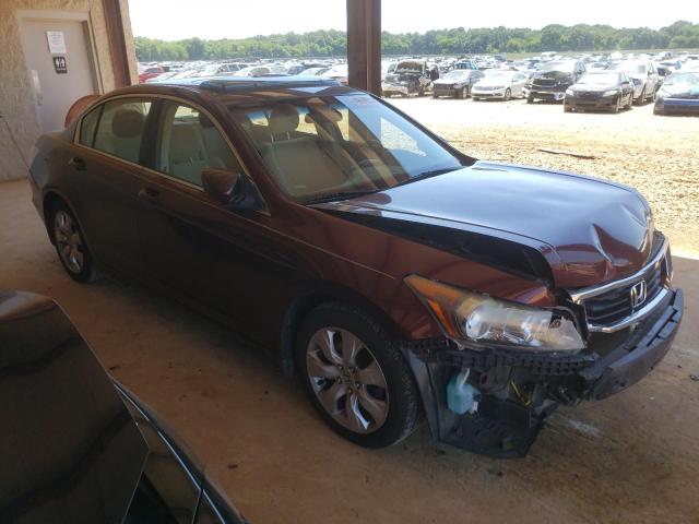 HONDA ACCORD EX 2008 with VIN JHMCP26718C072858 - Photo from auction