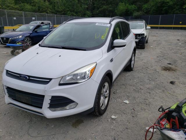 Foto 2 de la subasta – 2014 FORD ESCAPE SE con VIN 1FMCU0G99EUC42416