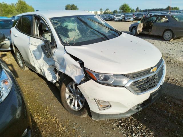 CHEVROLET EQUINOX LS 2020 with VIN 2GNAXHEVXL6218971 - Photo from auction