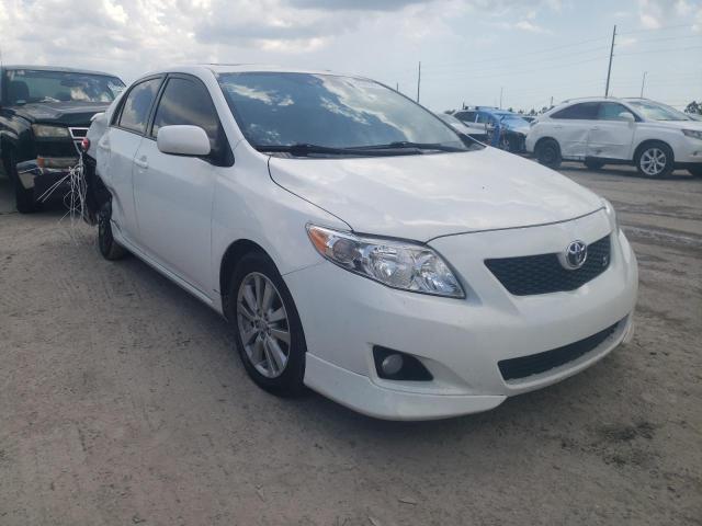 TOYOTA COROLLA BA 2010 with VIN 2T1BU4EE0AC423564 - Photo from auction