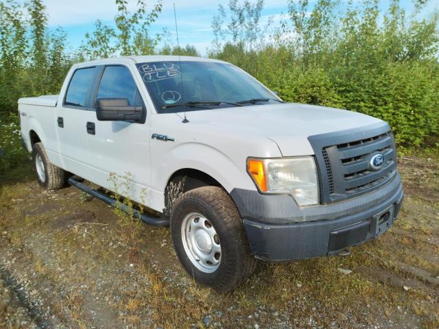 FORD F150 SUPER 2010 with VIN 1FTFW1E88AKB10636 - Photo from auction
