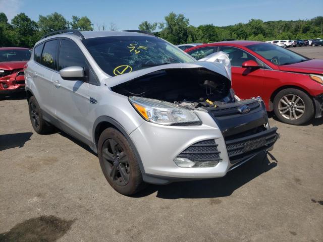 FORD ESCAPE SE 2014 with VIN 1FMCU9G91EUE54697 - Photo from auction