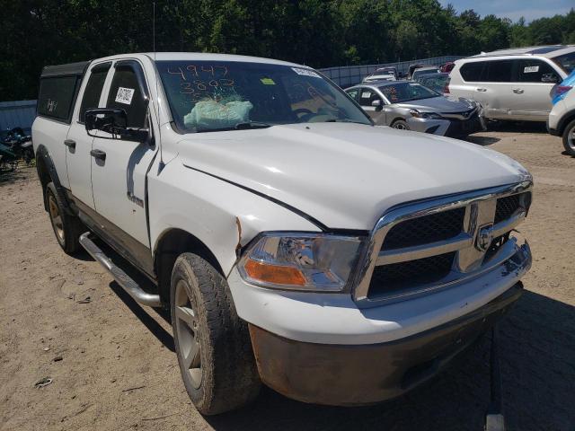 DODGE RAM 1500 2010 with VIN 1D7RV1GP7AS198136 - Photo from auction