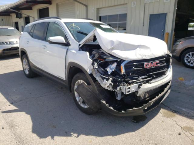 GMC TERRAIN SL 2020 with VIN 3GKALMEV5LL170731 - Photo from auction