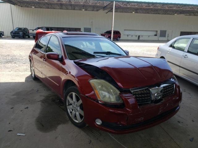 NISSAN MAXIMA SE 2006 with VIN 1N4BA41EX6C823684 - Photo from auction