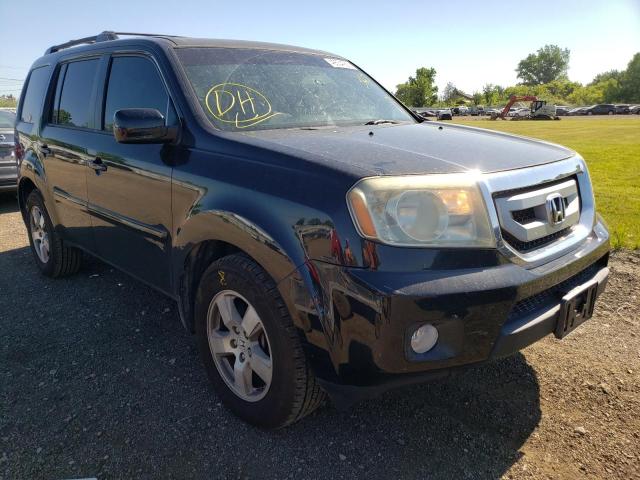HONDA PILOT EX 2011 with VIN 5FNYF3H48BB021449 - Photo from auction