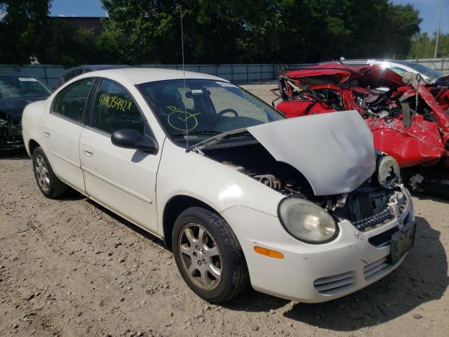 DODGE NEON SXT 2005 with VIN 1B3ES56C55D163856 - Photo from auction