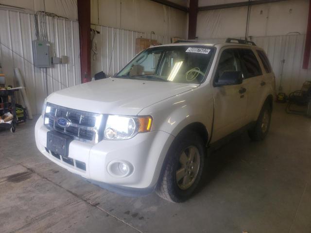Photo 2 from auction – 2011 FORD ESCAPE XLT with VIN 1FMCU9DGXBKC38101