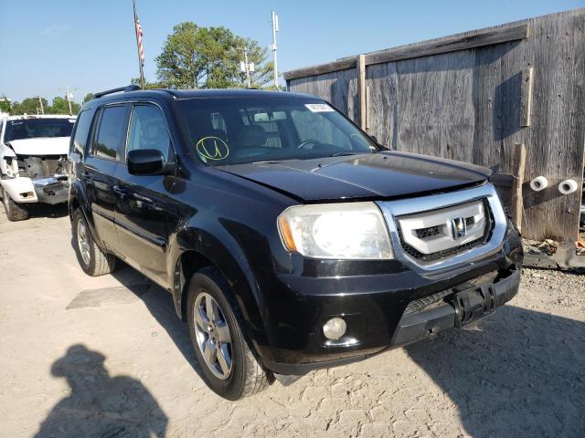 HONDA PILOT EXL 2011 with VIN 5FNYF3H55BB040534 - Photo from auction