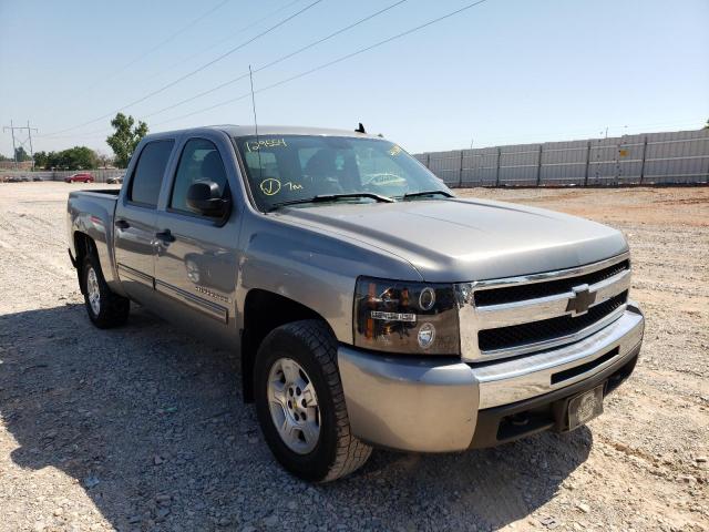 CHEVROLET SILVERADO 2009 with VIN 3GCEK23339G129554 - Photo from auction