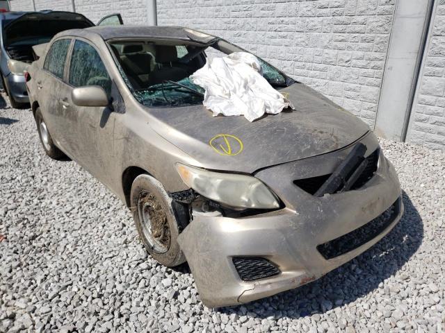 TOYOTA COROLLA BA 2009 with VIN 1NXBU40E49Z034184 - Photo from auction