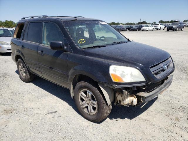 HONDA PILOT EXL 2005 with VIN 2HKYF185X5H562022 - Photo from auction