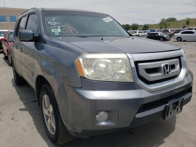 HONDA PILOT EXL 2009 with VIN 5FNYF486X9B018831 - Photo from auction