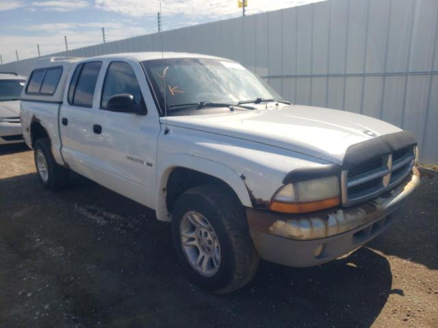 DODGE DAKOTA QUA 2002 with VIN 1B7HL48N92S594953 - Photo from auction