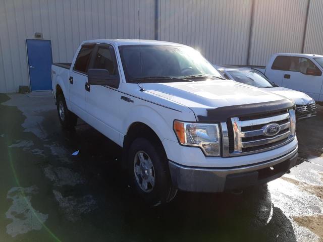 FORD F150 SUPER 2010 with VIN 1FTEW1E85AFA25113 - Photo from auction