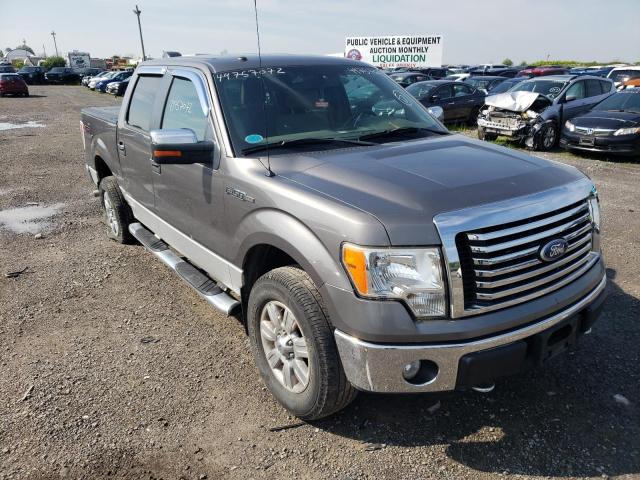 FORD F150 SUPER 2010 with VIN 1FTFW1EVXAFA79503 - Photo from auction