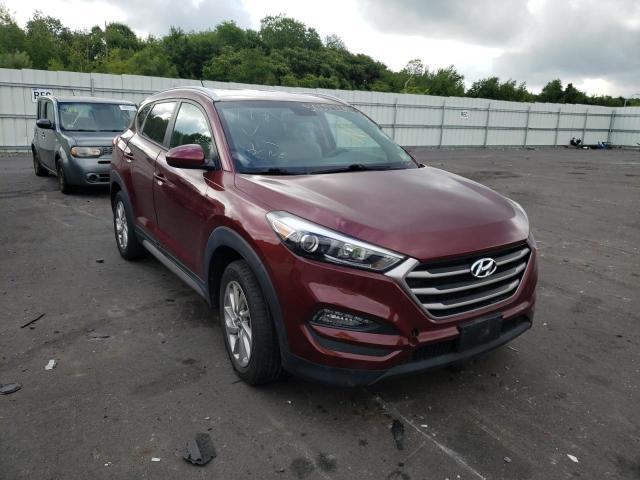 HYUNDAI TUCSON LIM 2017 with VIN KM8J3CA45HU251708 - Photo from auction