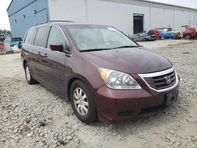 HONDA ODYSSEY EX 2009 with VIN 5FNRL38759B406520 - Photo from auction