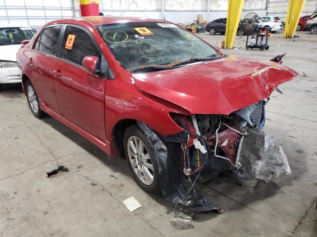TOYOTA COROLLA BA 2010 with VIN 1NXBU4EE8AZ364164 - Photo from auction
