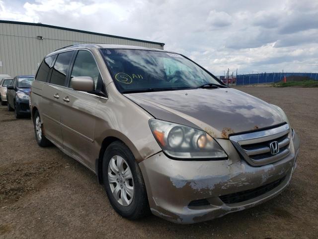 HONDA ODYSSEY EX 2005 with VIN 5FNRL38425B509233 - Photo from auction