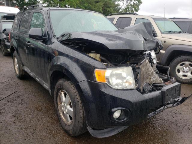 Photo 1 from auction – 2010 FORD ESCAPE XLT with VIN 1FMCU9DG7AKD36551