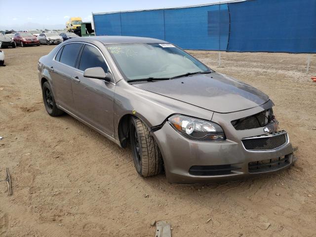 CHEVROLET MALIBU 1LT 2010 with VIN 1G1ZC5EB5AF109342 - Photo from auction