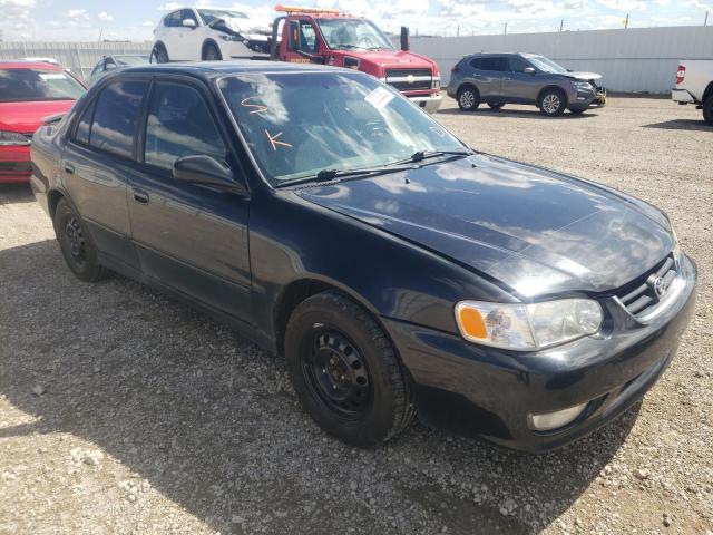 TOYOTA COROLLA CE 2001 with VIN 2T1BR12E81C829239 - Photo from auction