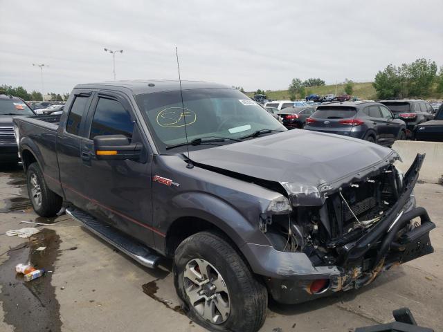 FORD F150 SUPER 2014 with VIN 1FTFX1EF0EFB30079 - Photo from auction