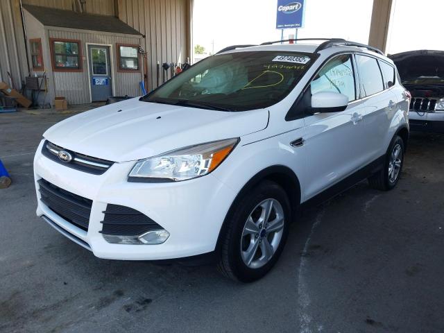 Photo 2 from auction – 2013 FORD ESCAPE SE with VIN 1FMCU0GX7DUB17685