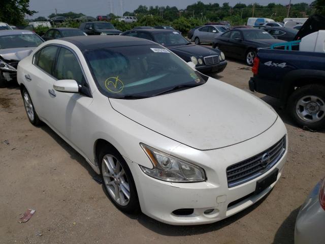 NISSAN MAXIMA S 2009 with VIN 1N4AA51E49C826005 - Photo from auction