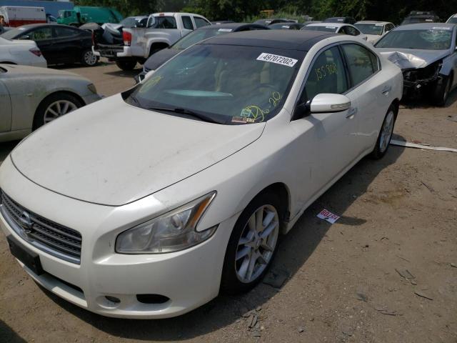 Photo 2 from auction – 2009 NISSAN MAXIMA S with VIN 1N4AA51E49C826005